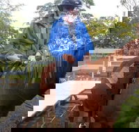 Well Now Health SolutionsOccupational Therapist - Adwords Guide