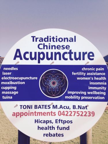 Toni Bates Acupuncture & Massage - Adwords Guide 0