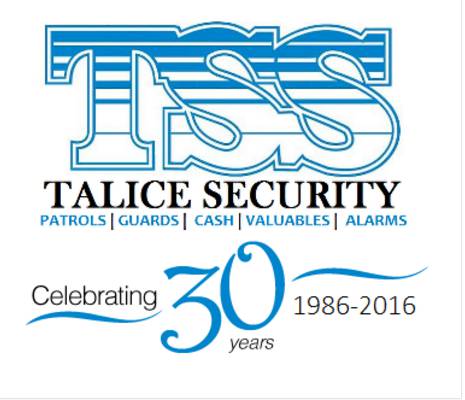 Talice Security Service - Adwords Guide 4