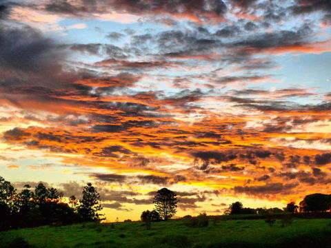 Yarraman Caravan Park - Adwords Guide 3
