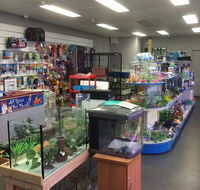 Nambour Pet Shop - Adwords Guide