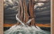 Forsight Gallery - thumb 2