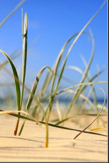 Coastal Visions Photography - Adwords Guide 1