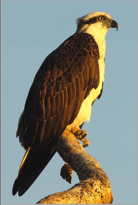 Coastal Visions Photography - Adwords Guide 2