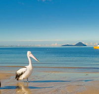 L J Hooker Nelson Bay - Adwords Guide