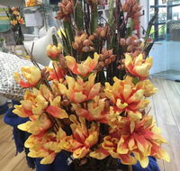 Harrington Waters Village Pharmacy - Adwords Guide