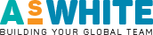 AS White Global - Adwords Guide 0