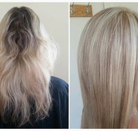 Looking Wild  Fabulous Hair Salon - Adwords Guide