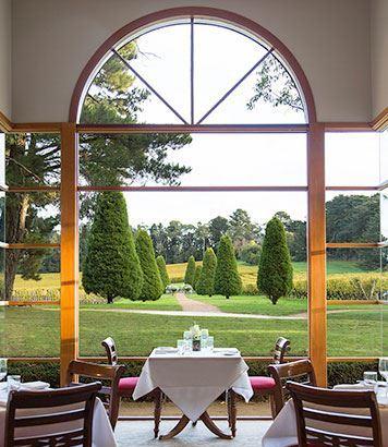 Linden Tree At Lindenderry - Adwords Guide 10