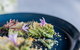 Spicers Balfour Kitchen - thumb 16