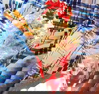 Jones Road Cellar Door - Adwords Guide