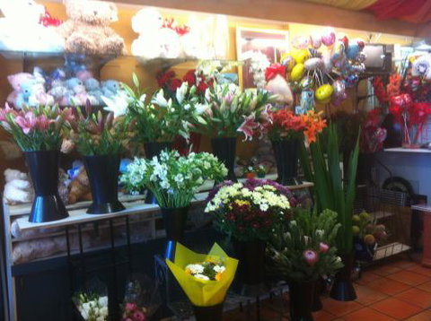 Wilsons’ Civic Florist - Adwords Guide 1