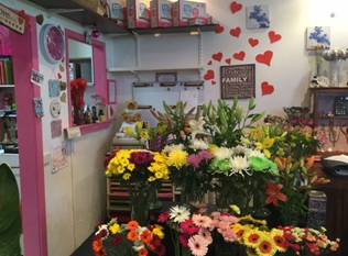 Kingscliff Village Florist - Adwords Guide 0