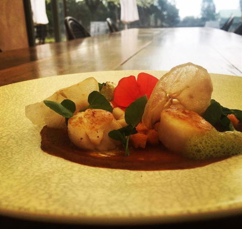 Au Pear - Adwords Guide 8