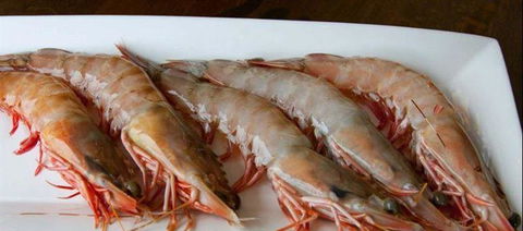 Tapas Tapas Bodega - Adwords Guide 22