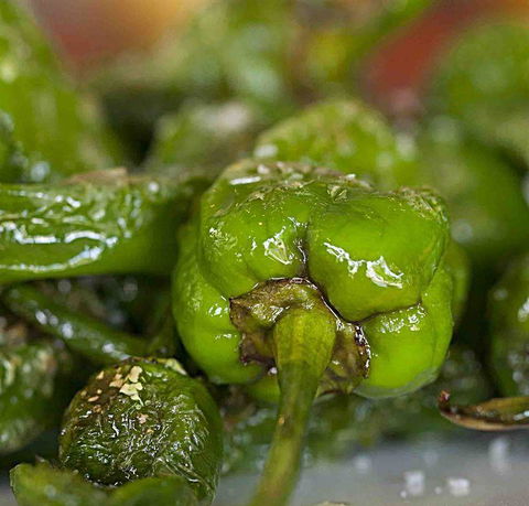 Tapas Tapas Bodega - Adwords Guide 7