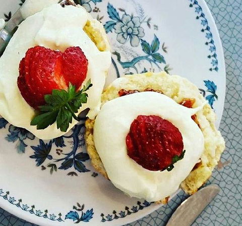 Cuisines - Adwords Guide 0