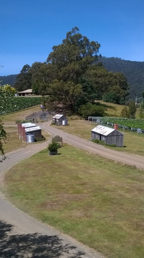 Hartzview Vineyard Cafe - Adwords Guide 2