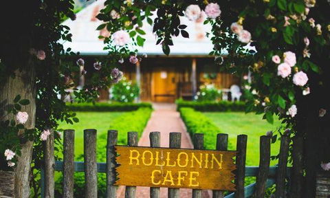 Rollonin Cafe - Adwords Guide 1