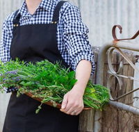 Verdure Bistro - Adwords Guide