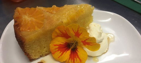 Miss Nellie's Cafe - Adwords Guide 0