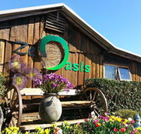Zen Oasis Vegetarian Restaurant - Adwords Guide