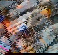 Bear With Me - Adwords Guide