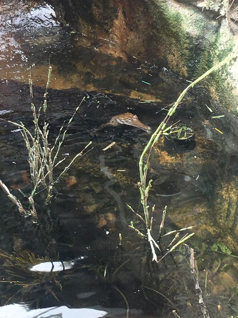 Darwin River Tavern - Adwords Guide 8