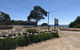 Penguin & Pardalote Coffee House - thumb 0