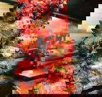 SKs indian restaurant - Adwords Guide