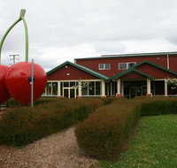 The Cherry Shed - Adwords Guide