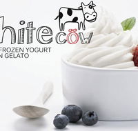White Cow - Greek Frozen Yogurt Artisan Gelato - Adwords Guide