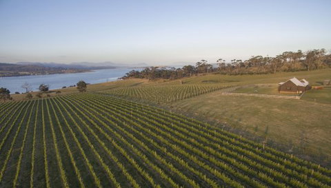 Bangor Vineyard Shed - Adwords Guide 0