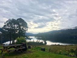 Business in Tullah TAS Adwords Guide Adwords Guide