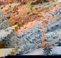 Lawley's Bakery Cafe - Adwords Guide