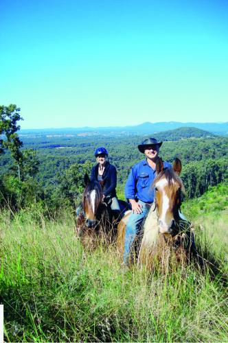 Bellrowan Valley Horse Riding - Adwords Guide 0