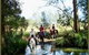Bellrowan Valley Horse Riding - thumb 1