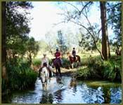 Bellrowan Valley Horse Riding - Adwords Guide 1
