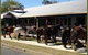 Bellrowan Valley Horse Riding - thumb 2