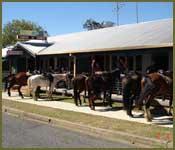 Bellrowan Valley Horse Riding - Adwords Guide 2