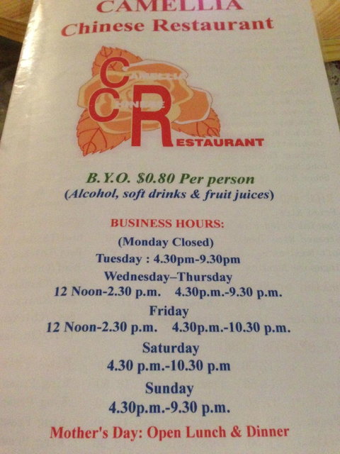 Camellia Chinese Restaurant & Takeaway Food - Adwords Guide 2