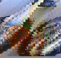 The Strand Byford Lakeside Restaurant Cafe - Adwords Guide