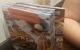 Chocolateria San Churro - thumb 14