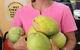 Ginreab Thai - thumb 4