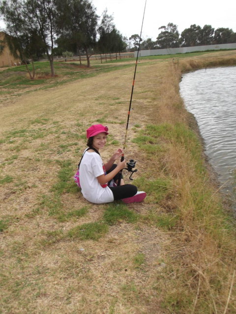 Golden Ponds Restaurant - Adwords Guide 6