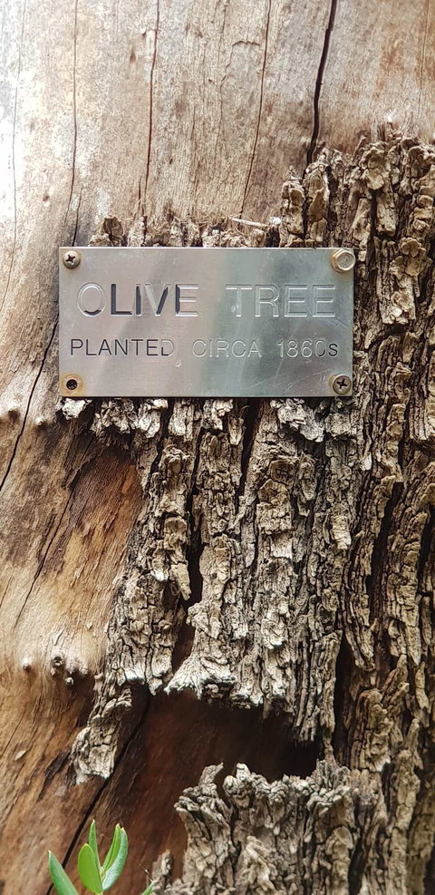 Redcliffe On The Murray - Adwords Guide 2