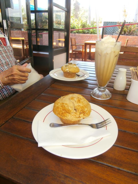Shady Lane Cafe - Adwords Guide 1