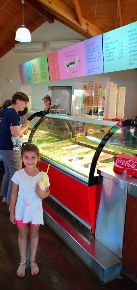 Simmo's Icecreamery - Adwords Guide 3