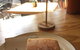 Wild And Woods Cafe - thumb 3