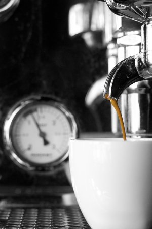 Blackwood Cafe - Adwords Guide 0